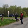 Begleithundprüfung am 28.04.2012 in Wischhafen bei LR Klaus Jeske VT- Brav an einem angeleinten Hund vorbei